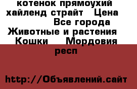 котенок прямоухий  хайленд страйт › Цена ­ 10 000 - Все города Животные и растения » Кошки   . Мордовия респ.